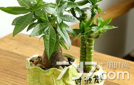 搬家送礼物送什么好呢实用（搬家送啥礼物好）