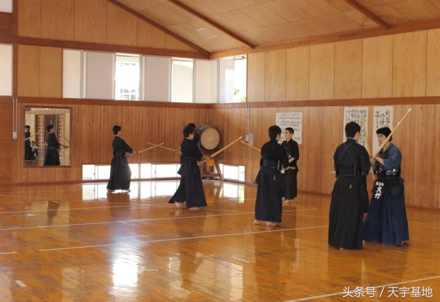 天宇基地秋田犬发展之路第三章（下）：探寻日本秋田犬大师