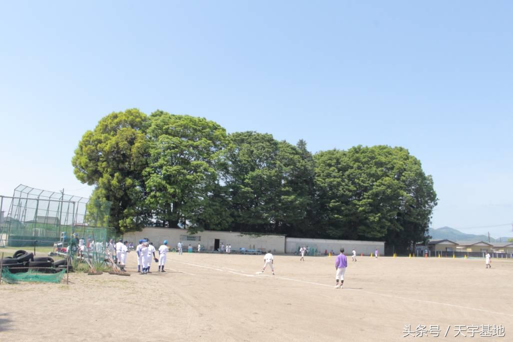 天宇基地秋田犬发展之路第三章（下）：探寻日本秋田犬大师