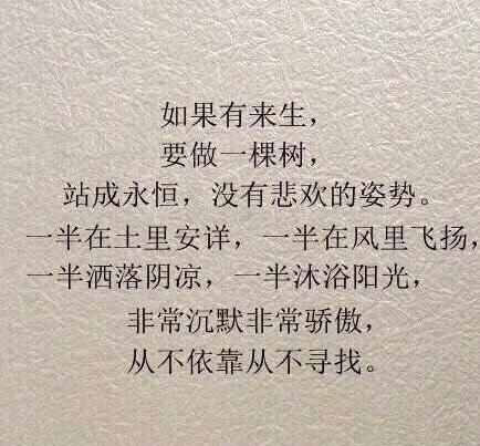 三毛最美的九句话：关于自己、关于朋友、关于梦想……