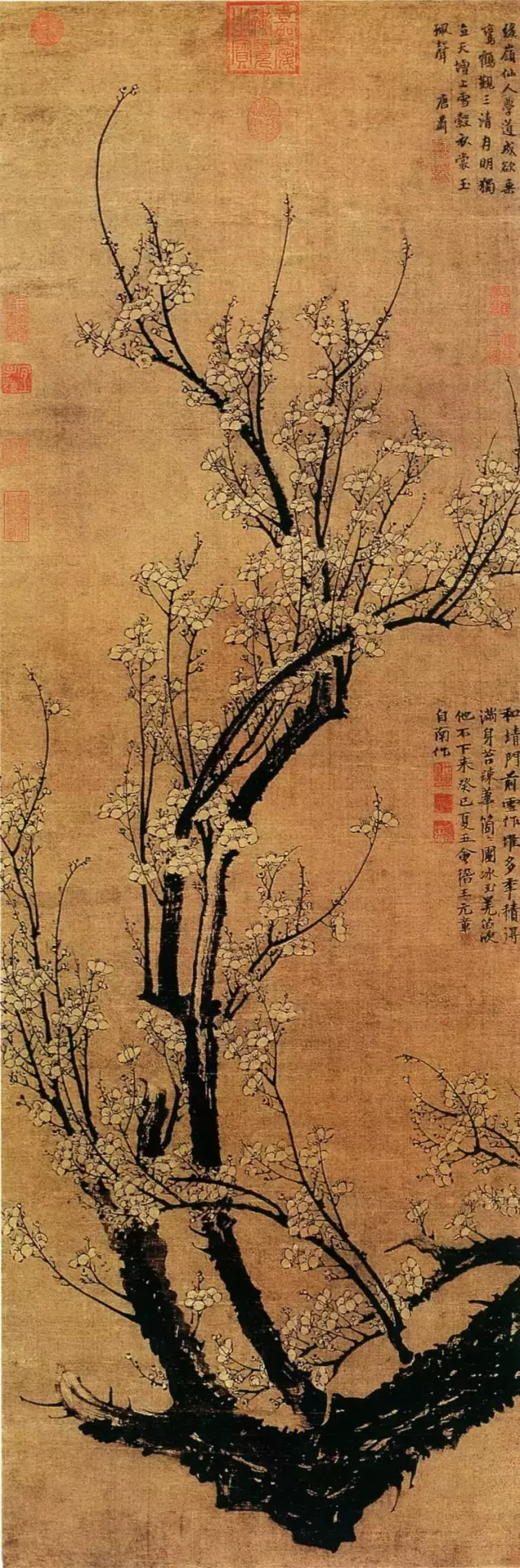 ĸģ(mian)ĸ-(yu)Ѷ