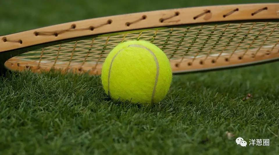 网球是空心的么(网球为什么是毛茸茸的小黄球？)
