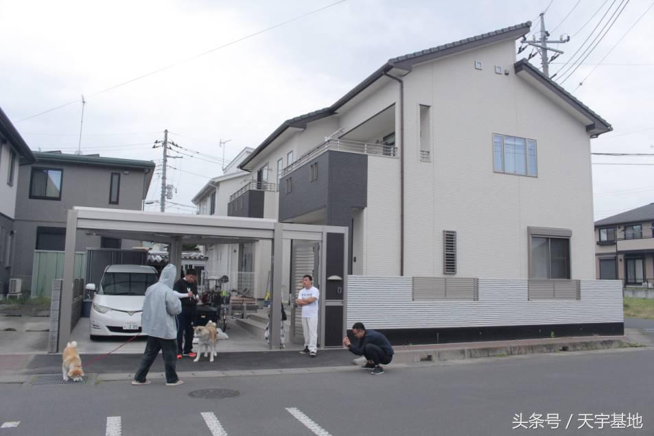 天宇基地秋田犬发展之路第三章（下）：探寻日本秋田犬大师