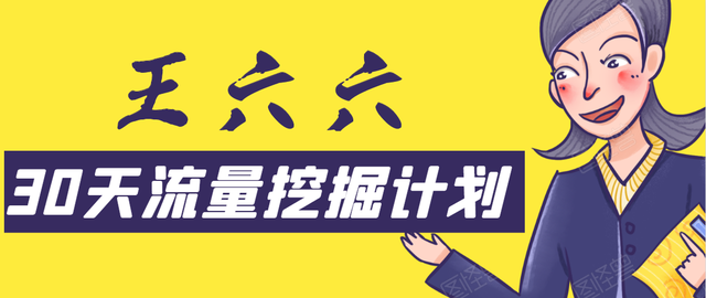 王六六30天流量挖掘计划，从零开始打造一套精准流量挖掘体系【视频教程】 配图