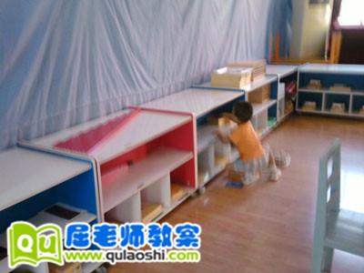 小班美术优秀教案及教学反思《彩色的银柳》