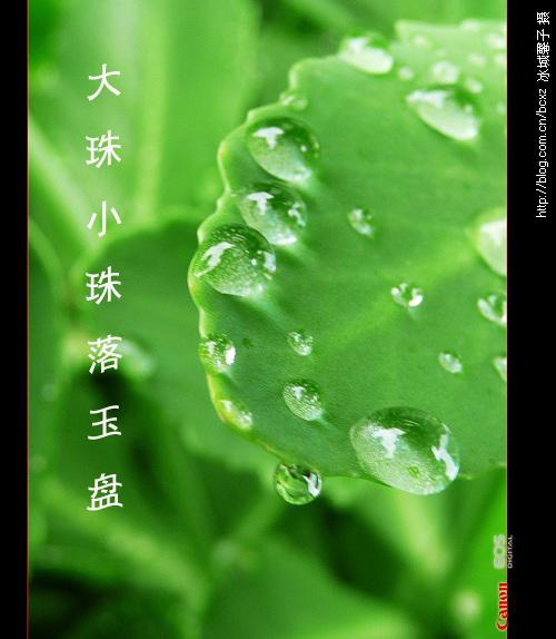 谚语大珠小珠落玉盘