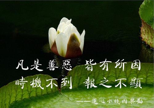 做坏事要遭报应的谚语