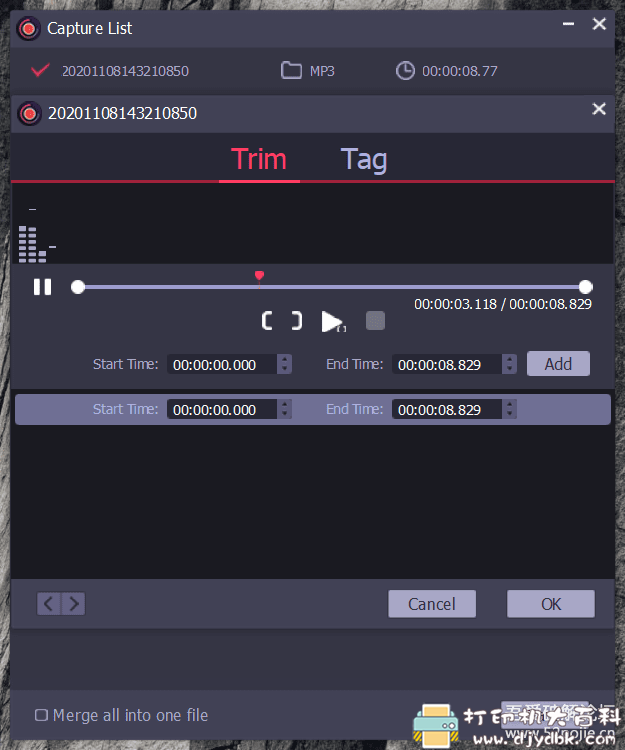 [Windows]优秀录音工具：AudFree Audio Capture 2.5.0.25 配图 No.3