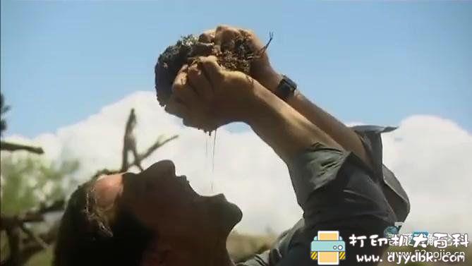 PC游戏分享：【模拟生存】R.Island (贝爷在辐射岛）V11.30&nbsp;绿色硬盘版 配图 No.3