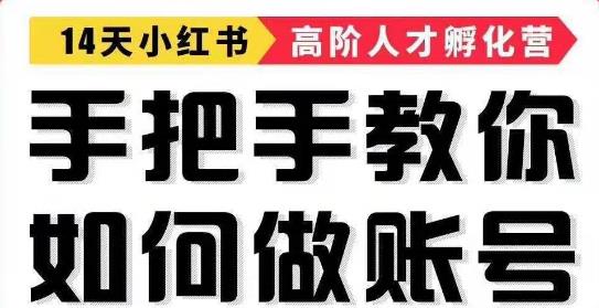 小红书高阶人才孵化营：手把手教你如何做账号，轻松靠小红书月赚10000+【音频课】 配图