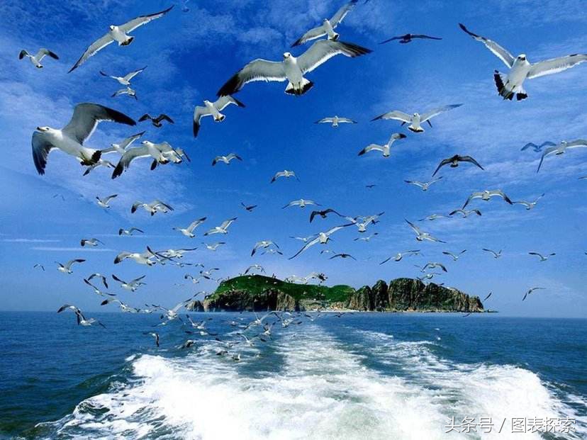 威海有什么大学（山东省威海市拥有4所大学）