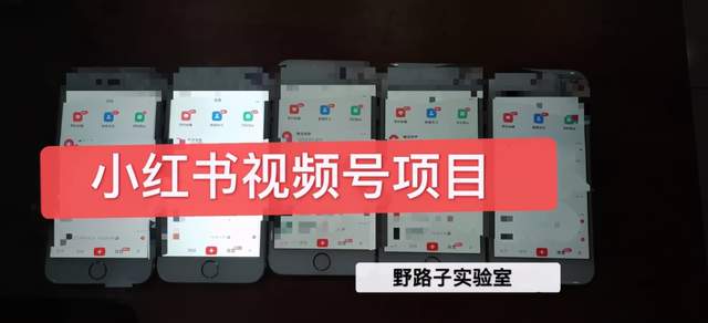 野路子小红书视频号1.0项目，直接上手操作就能赚钱的视频号项目【视频教程】 配图