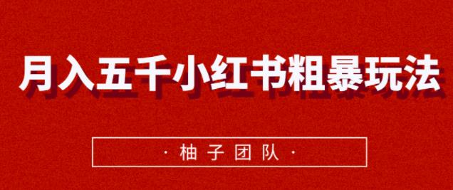 月入五千小红书粗暴赚钱玩法，适合上班族的赚钱副业【视频课程】 配图