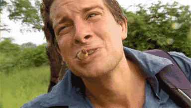 PC游戏分享：【模拟生存】R.Island (贝爷在辐射岛）V11.30&nbsp;绿色硬盘版 配图 No.2