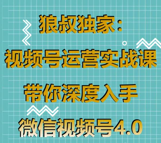 狼叔微信视频号运营实战课，带你深度入手微信视频号4.0【视频教程】 配图