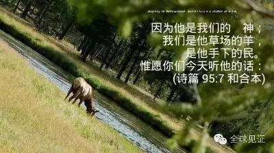 【见证】学佛使得妻离子散，认识耶稣生命重建