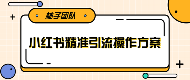 柚子团队：落地实操的小红书精准引流操作方案，轻松爆流上万【视频教程】 配图