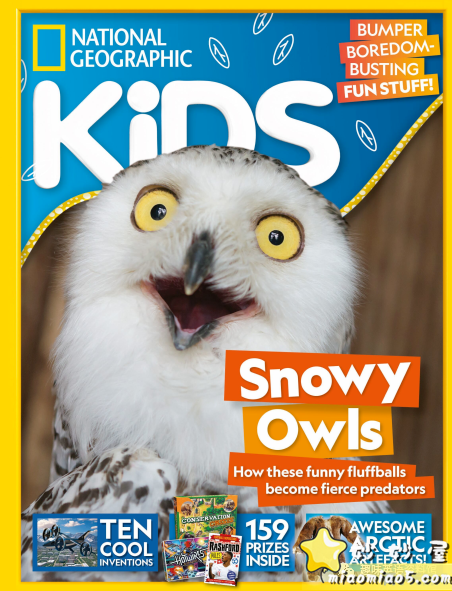 美画原版儿童英文杂志：Highlights，国家地理杂志，故事时间 Storytime， HOW IT WORKS【2020.1最新版】图片 No.2