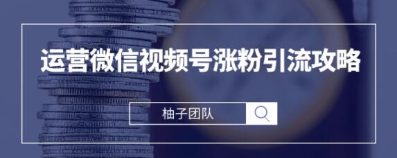柚子内部课：手把手教你运营微信视频号涨粉引流攻略，轻松涨粉10W+【视频课程】 配图