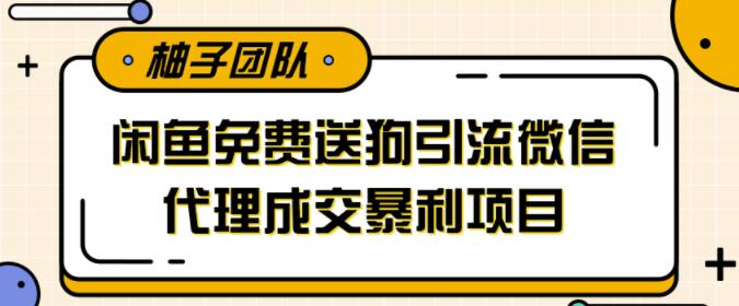 闲鱼免费送狗引流到微信暴力吸粉，中间商成交暴利赚钱项目【视频课程】 配图