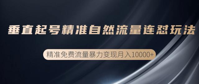 抖音垂直起号精准自然流量连怼玩法，实现精准流量变现月入10000+【视频教程】 配图