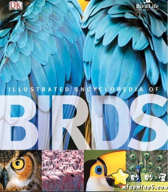 鸟类百科全书 DK Illustrated encyclopedia of birds 电子书PDF 高清下载图片