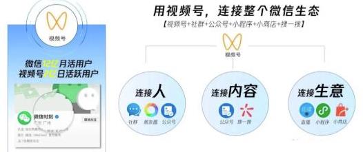 从0到1带你玩l转视频号变现，日引流500+日收入1000+核心玩法【视频教程】 配图 No.2