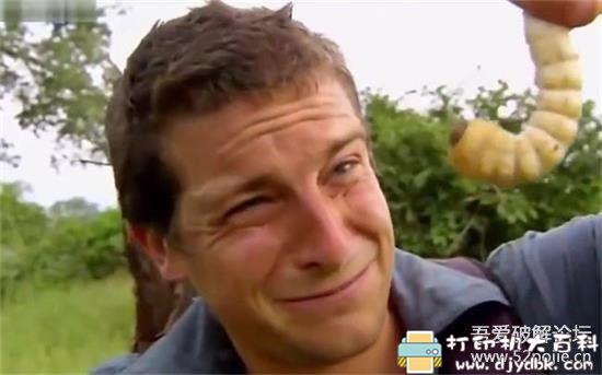 PC游戏分享：【模拟生存】R.Island (贝爷在辐射岛）V11.30&nbsp;绿色硬盘版 配图 No.1