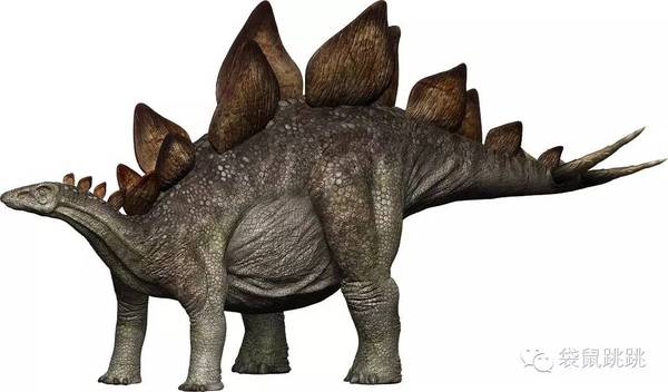 绘本阅读|食草恐龙——剑龙