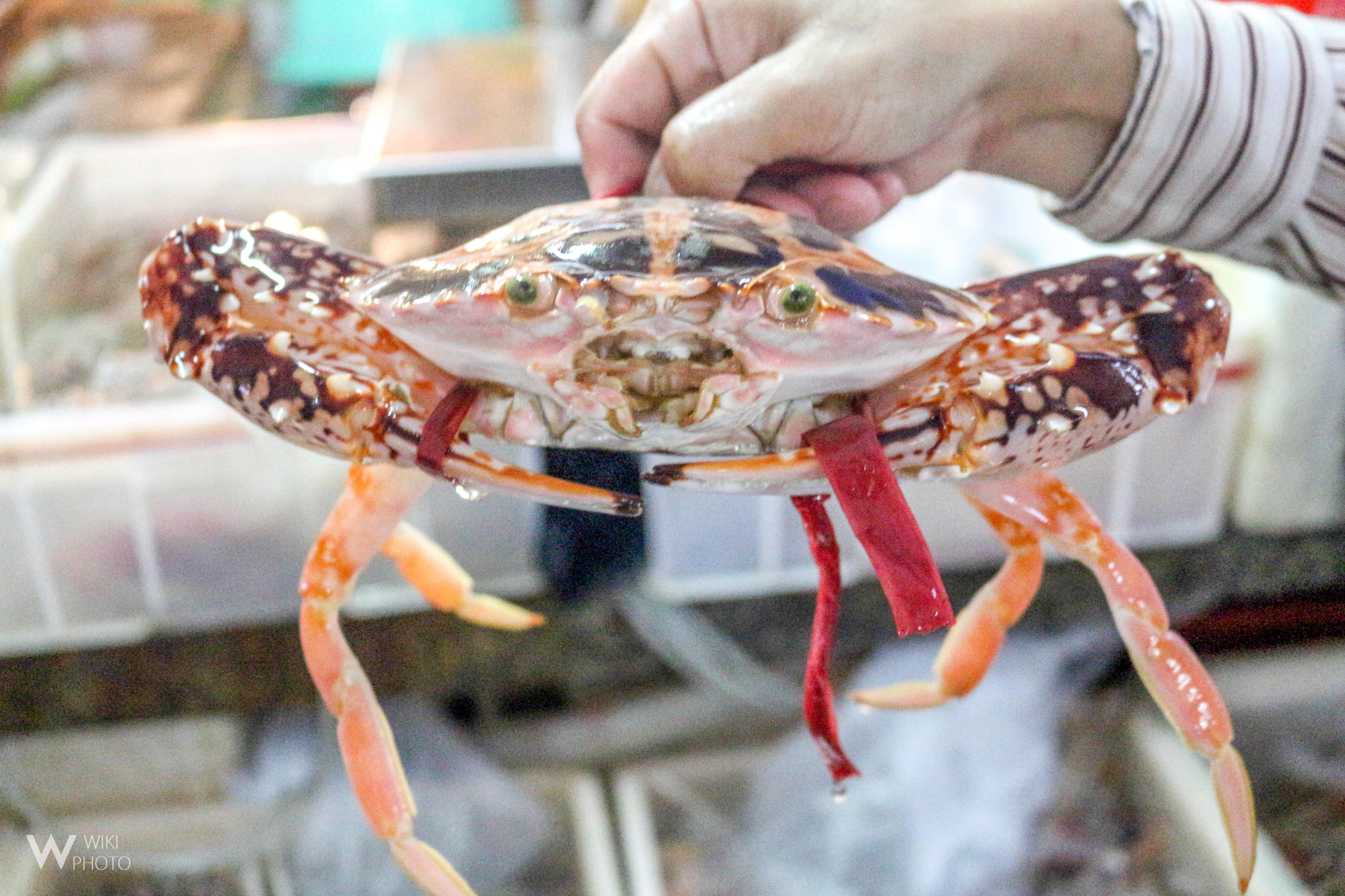 三亚第一市场,海鲜怎么"选" "做"好吃?