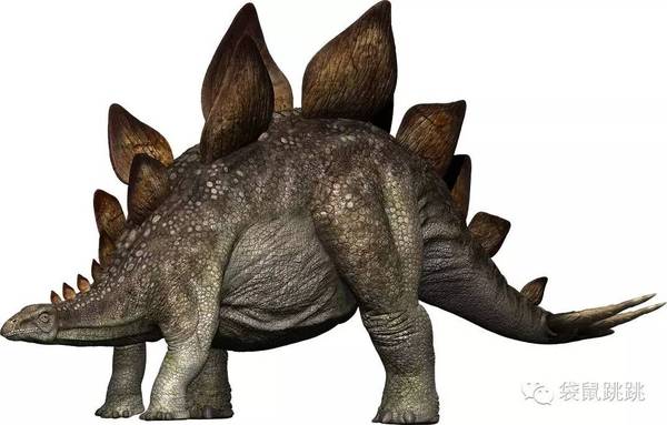 绘本阅读|食草恐龙——剑龙