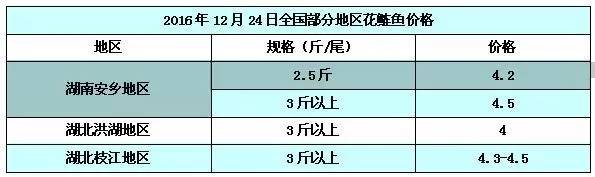 报价｜12月24日罗非鱼、花鲢鱼、白鲢鱼、河蟹最新价格