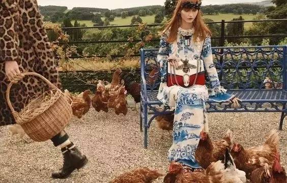 辣眼睛！｜Gucci、Amani等一众大牌的鸡年限量款，谁才是时尚圈的那股清流？