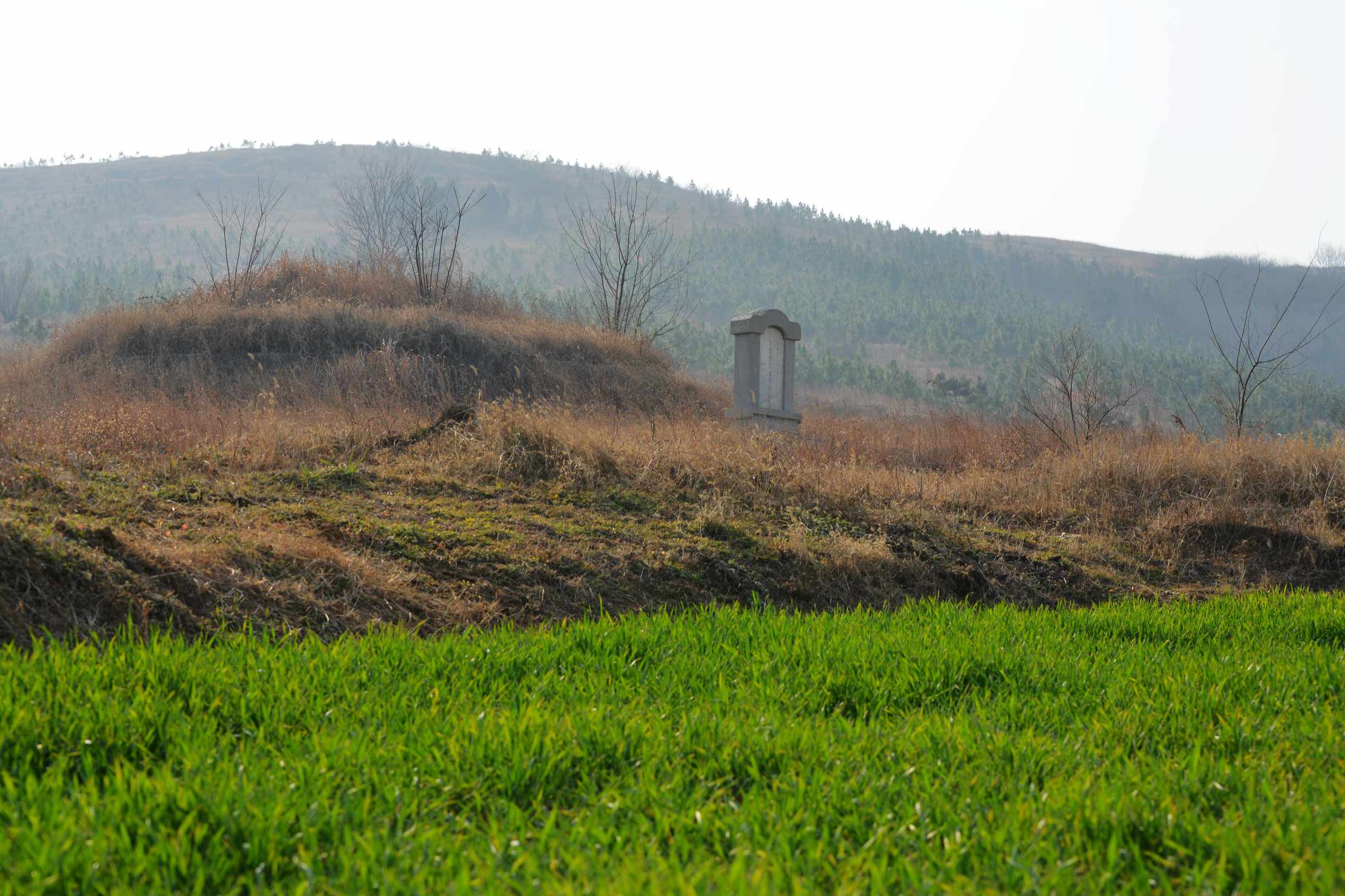 钟子期墓是怎么发现的