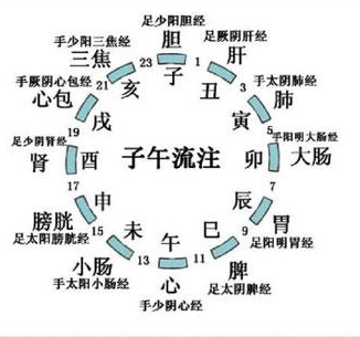 十二時辰與十二生肖跟你的健康也有關係十二生肖與十二時辰有什麼關係