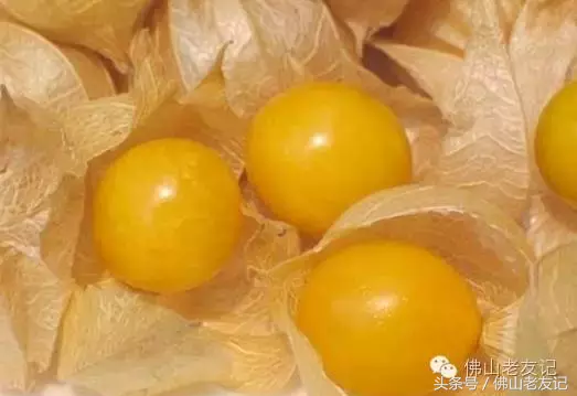 圆形的芒果是什么品种3