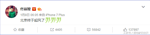佟丽娅微博“北京终于起风了”七个字说出：再美爱情也经不起风浪