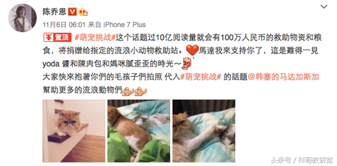 网红圈的那些事——以微博上的知名宠物博主为例