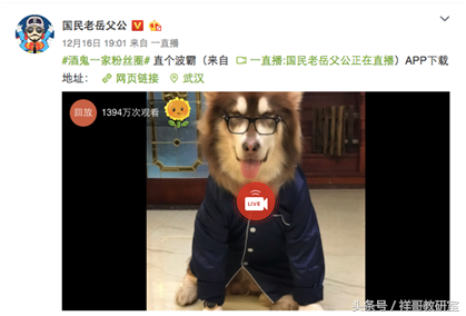 网红圈的那些事——以微博上的知名宠物博主为例