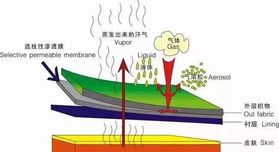 滑雪服究竟为啥这么贵？穿搭选购指南实力来袭，一看便知！