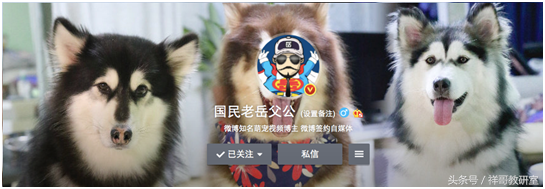 网红圈的那些事——以微博上的知名宠物博主为例