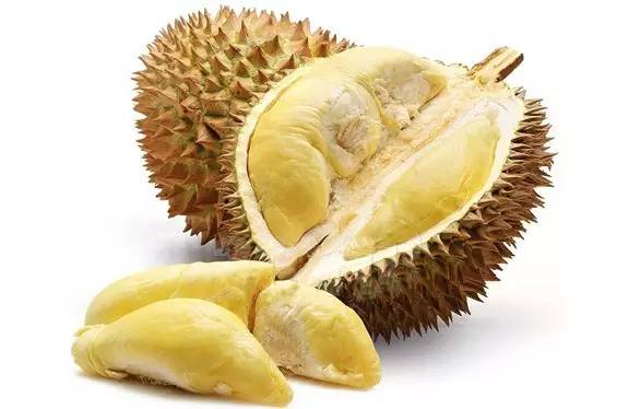 durian榴莲怎么读（榴莲怎么念英语）-第1张图片-科灵网
