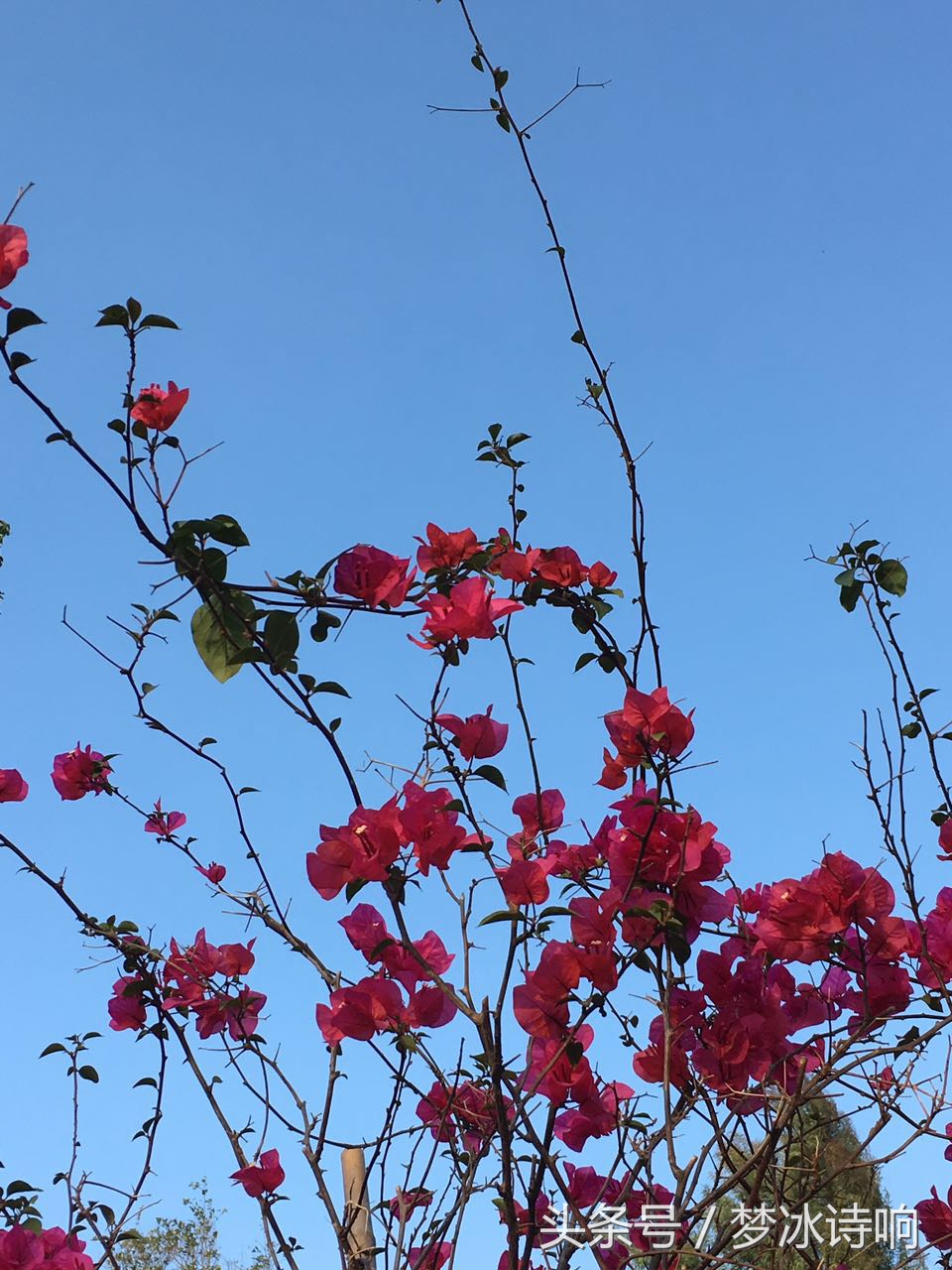 嫂嫂暖心的体贴撑起家族晴朗的天空