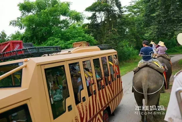 带全家7口人出国旅行，我却一点都不觉得累