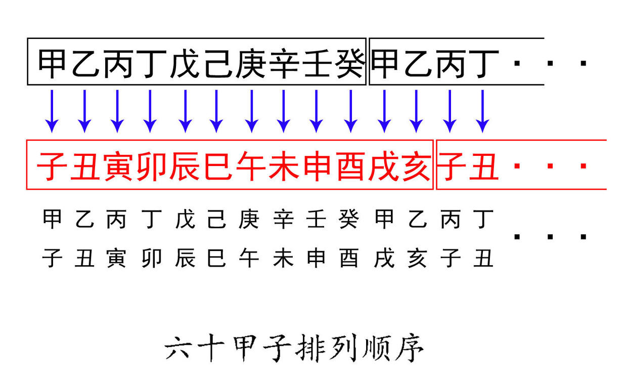 子丑寅卯全部口诀图片