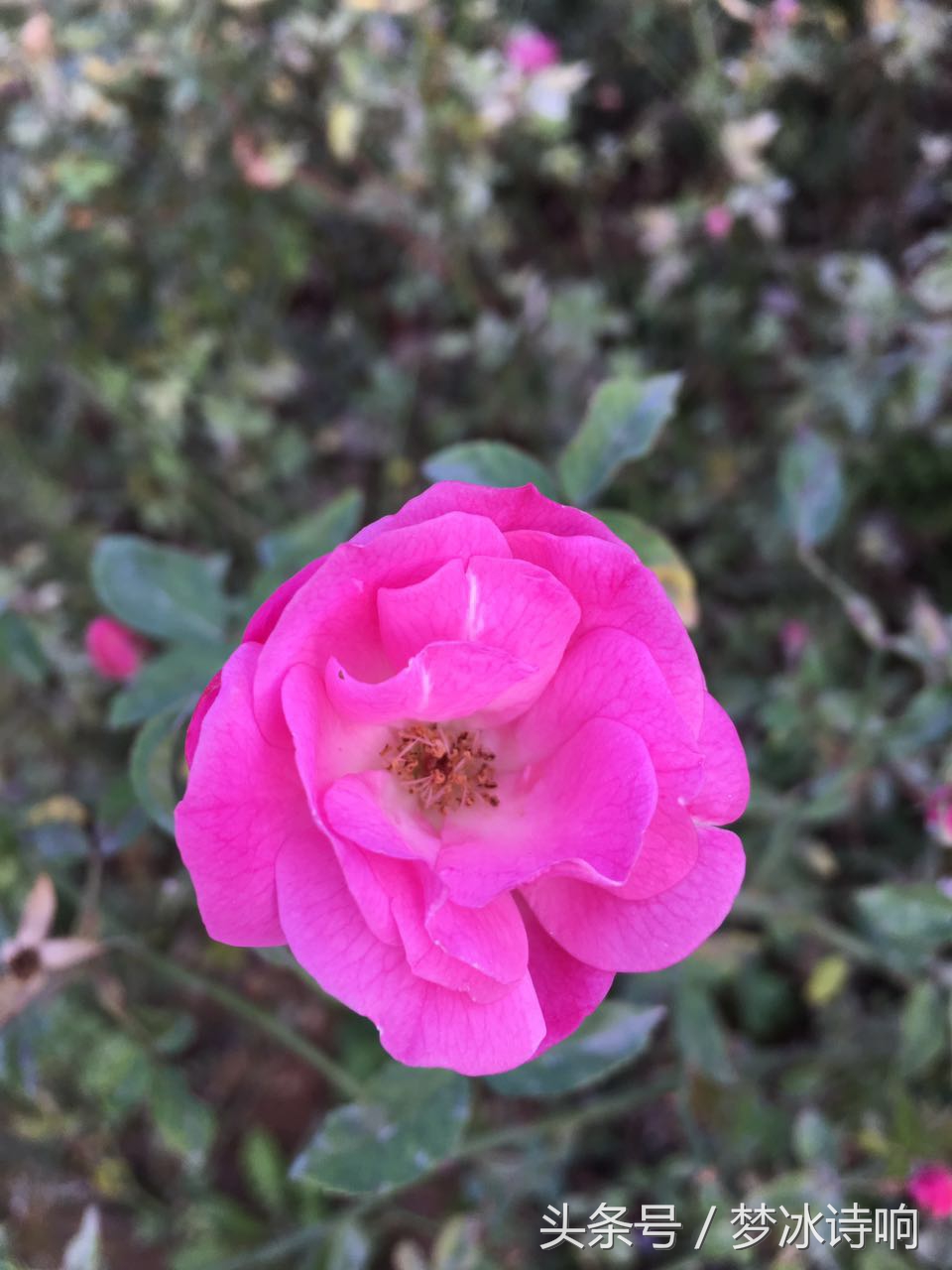 嫂嫂暖心的体贴撑起家族晴朗的天空