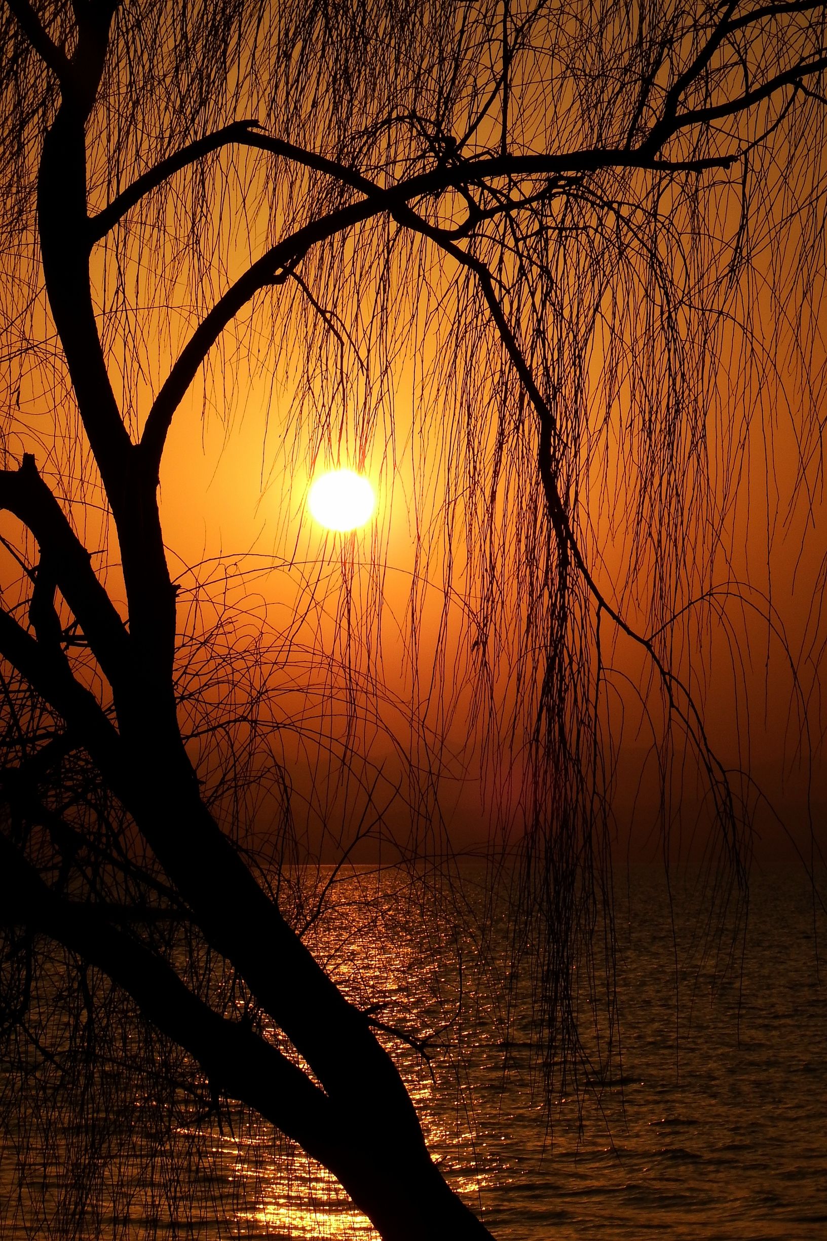 日暮苍山远,伊河落日圆