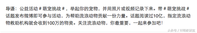网红圈的那些事——以微博上的知名宠物博主为例