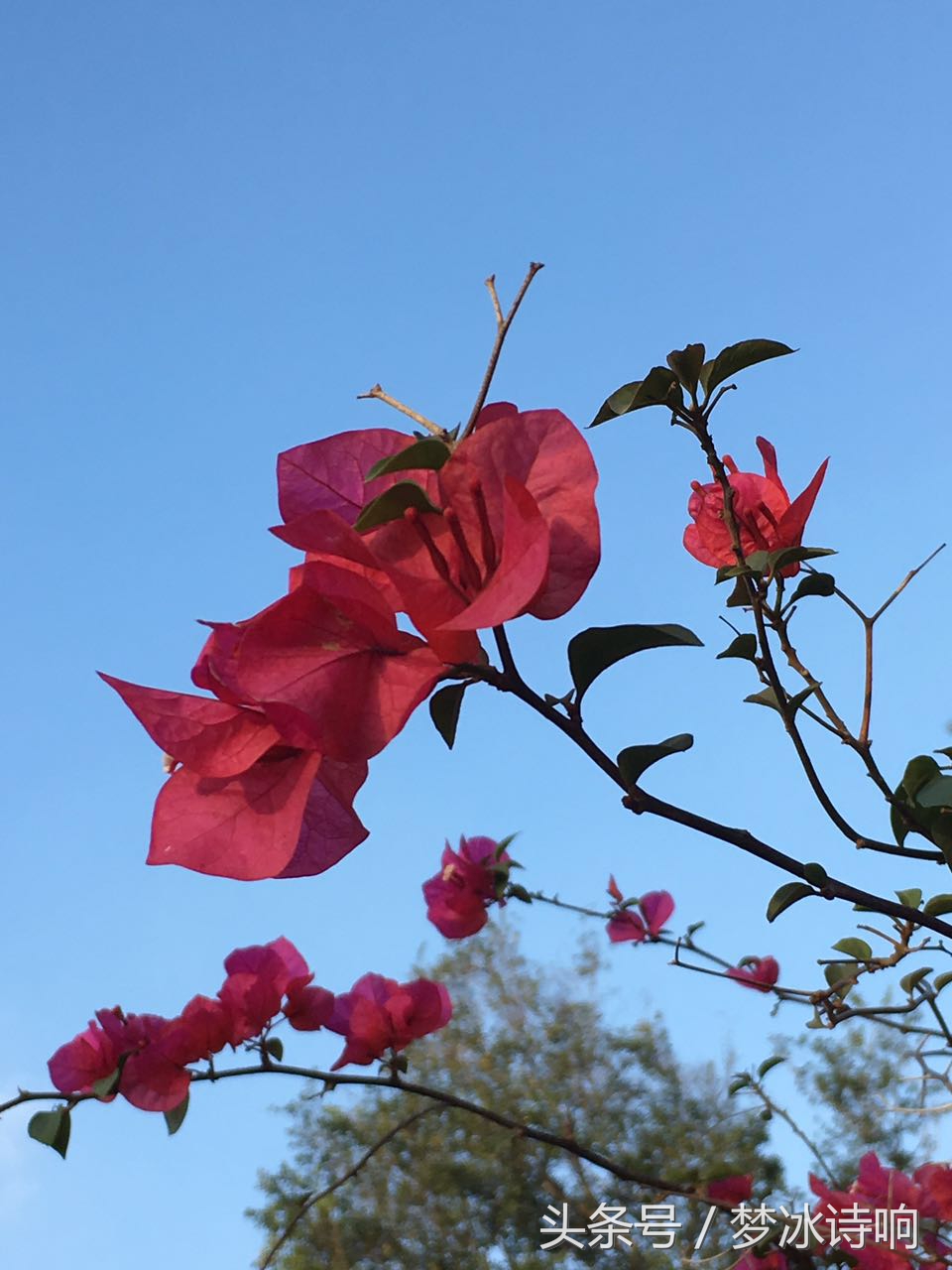 嫂嫂暖心的体贴撑起家族晴朗的天空