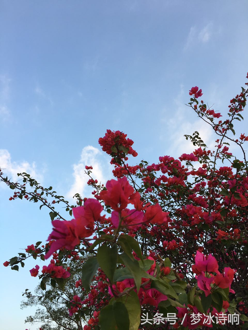 嫂嫂暖心的体贴撑起家族晴朗的天空